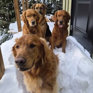 Meet your Posher, Kim